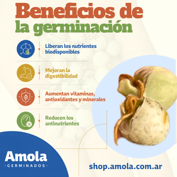 Diseño sin título